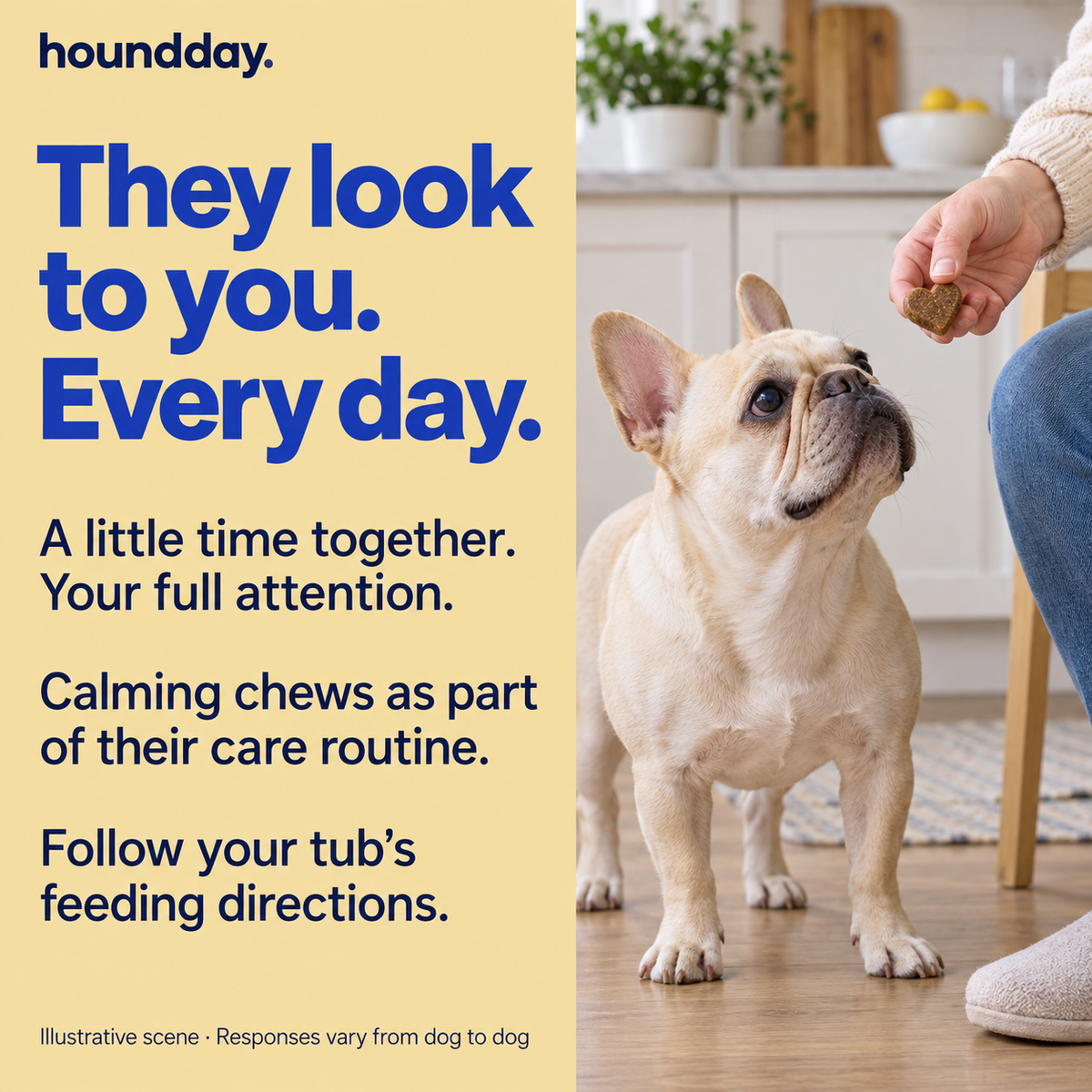 Calm Days: Calming Chews for Dogs