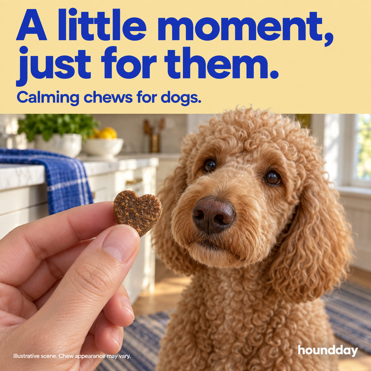 Calm Days: Calming Chews for Dogs