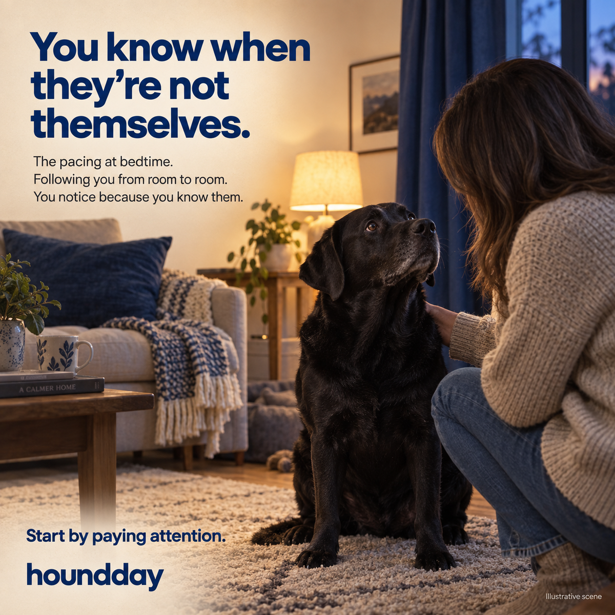 Calm Days: Calming Chews for Dogs