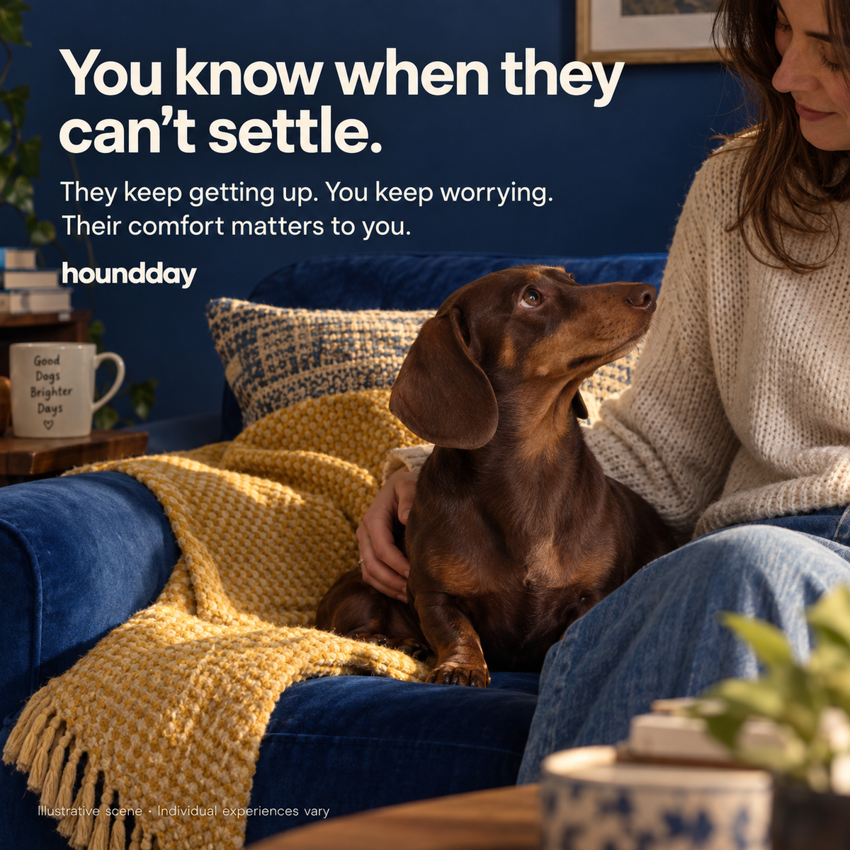 Calm Days: Calming Chews for Dogs