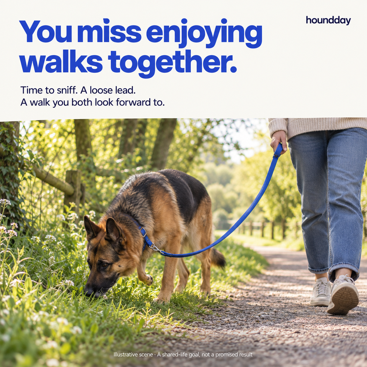 Calm Days: Calming Chews for Dogs